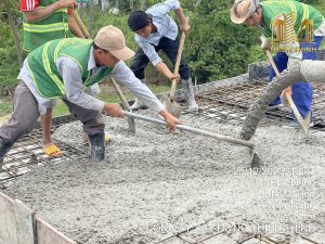 z5007763534720 8a18e36161cd9f49ea5671278a12474e