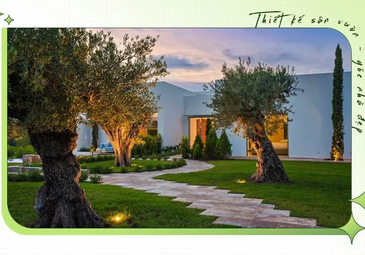 thiet ke san vuon truoc nha 18 e1704678332182